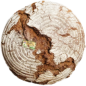 Preview: Pfister Öko-Walnussbrot 1500g